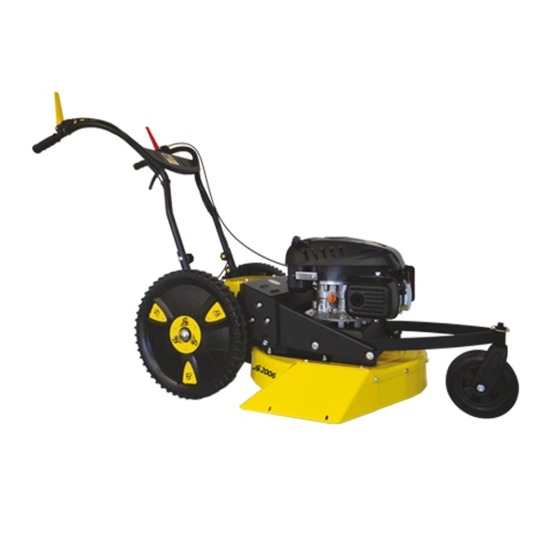 Wiesenmäher Roques et Lecoeur RL 2006 B - Briggs & Stratton - 53 cm